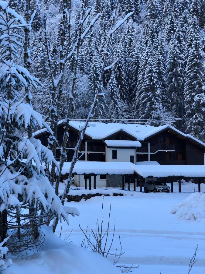 Apartement Morzine Avoriaz Екстер'єр фото